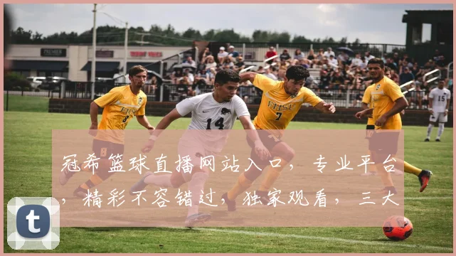冠希篮球直播网站入口,专业平台,精彩不容错过,独家观看,三大亮点,畅享体育盛宴